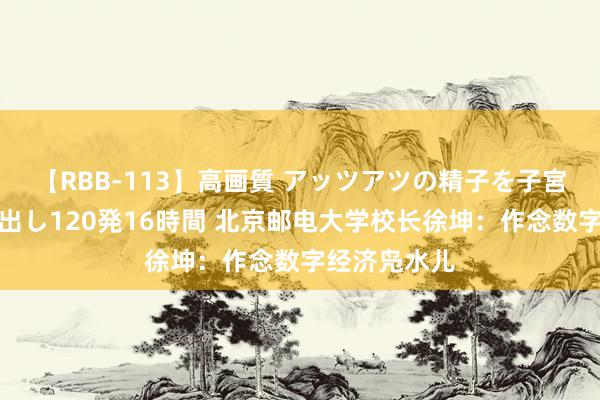 【RBB-113】高画質 アッツアツの精子を子宮に孕ませ中出し120発16時間 北京邮电大学校长徐坤：作念数字经济凫水儿