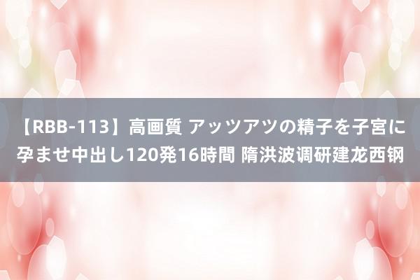 【RBB-113】高画質 アッツアツの精子を子宮に孕ませ中出し120発16時間 隋洪波调研建龙西钢