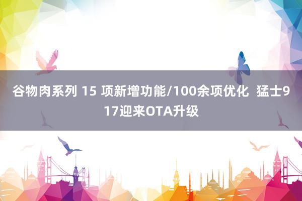 谷物肉系列 15 项新增功能/100余项优化  猛士917迎来OTA升级