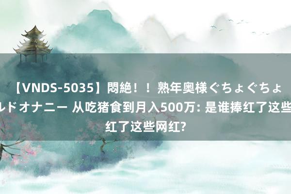 【VNDS-5035】悶絶！！熟年奥様ぐちょぐちょディルドオナニー 从吃猪食到月入500万: 是谁捧红了这些网红?