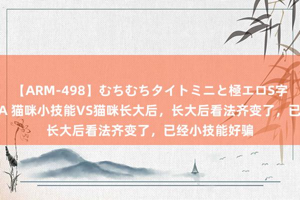 【ARM-498】むちむちタイトミニと極エロS字ライン 2 AIKA 猫咪小技能VS猫咪长大后，长大后看法齐变了，已经小技能好骗