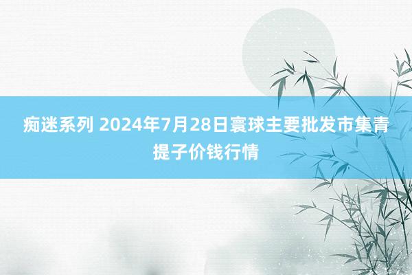 痴迷系列 2024年7月28日寰球主要批发市集青提子价钱行情