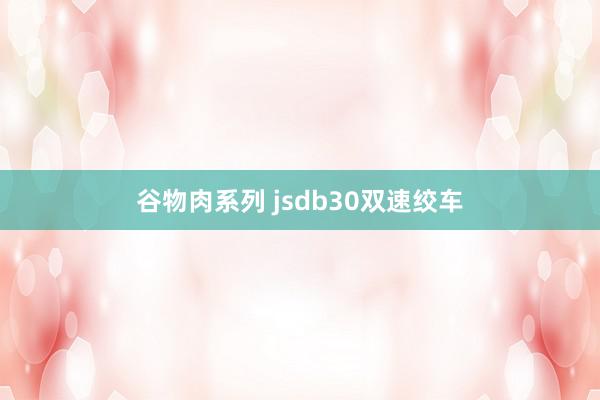 谷物肉系列 jsdb30双速绞车