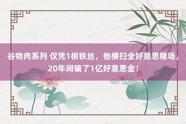 谷物肉系列 仅凭1根铁丝，他横扫全好意思赌场，20年间骗了1亿好意思金！