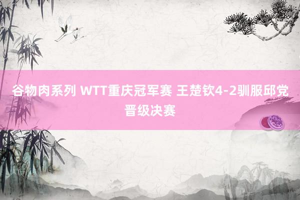 谷物肉系列 WTT重庆冠军赛 王楚钦4-2驯服邱党晋级决赛