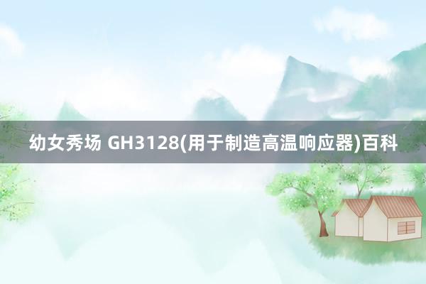 幼女秀场 GH3128(用于制造高温响应器)百科