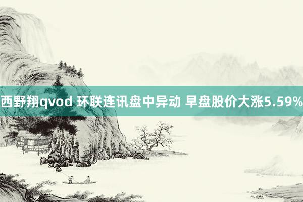 西野翔qvod 环联连讯盘中异动 早盘股价大涨5.59%