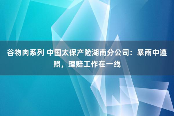 谷物肉系列 中国太保产险湖南分公司：暴雨中遵照，理赔工作在一线