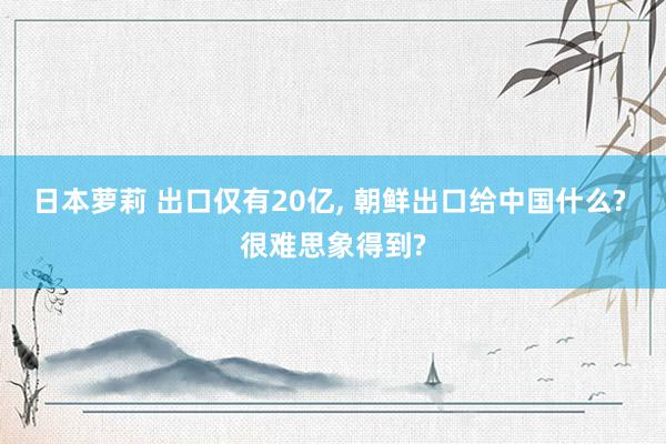 日本萝莉 出口仅有20亿, 朝鲜出口给中国什么? 很难思象得到?