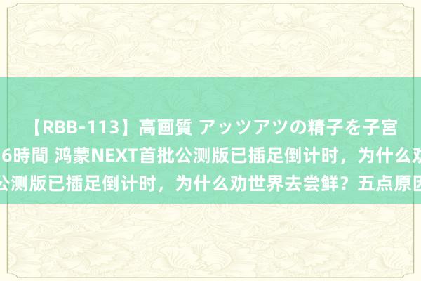 【RBB-113】高画質 アッツアツの精子を子宮に孕ませ中出し120発16時間 鸿蒙NEXT首批公测版已插足倒计时，为什么劝世界去尝鲜？五点原因