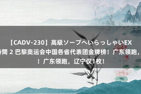 【CADV-230】高級ソープへいらっしゃいEX 巨乳限定4時間 2 巴黎奥运会中国各省代表团金牌榜！广东领跑，辽宁仅1枚！