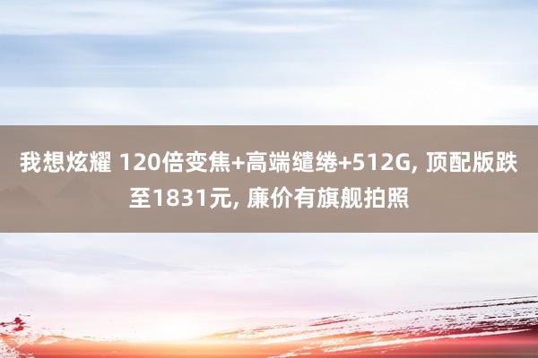 我想炫耀 120倍变焦+高端缱绻+512G, 顶配版跌至1831元, 廉价有旗舰拍照