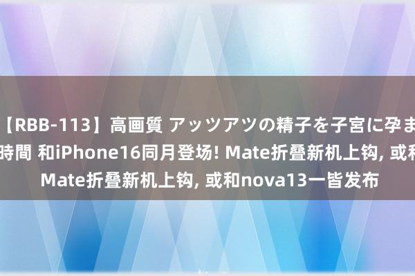 【RBB-113】高画質 アッツアツの精子を子宮に孕ませ中出し120発16時間 和iPhone16同月登场! Mate折叠新机上钩, 或和nova13一皆发布