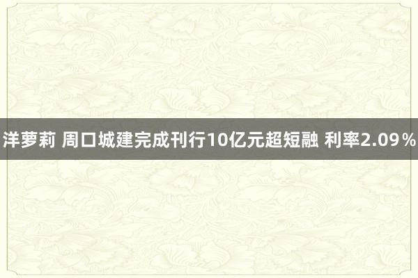 洋萝莉 周口城建完成刊行10亿元超短融 利率2.09％