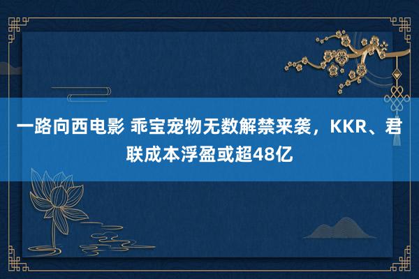 一路向西电影 乖宝宠物无数解禁来袭，KKR、君联成本浮盈或超48亿