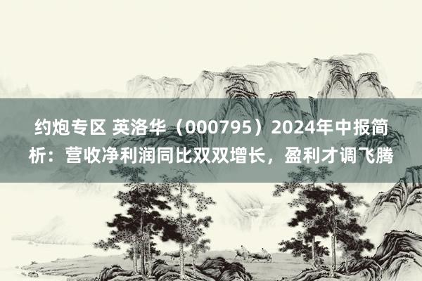 约炮专区 英洛华（000795）2024年中报简析：营收净利润同比双双增长，盈利才调飞腾