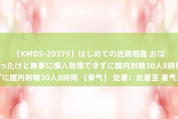 【KMDS-20379】はじめての近親相姦 おばさんの誘いに最初は戸惑ったけど無事に挿入我慢できずに膣内射精30人8時間 【骨气】 处暑：处暑至 暑气消