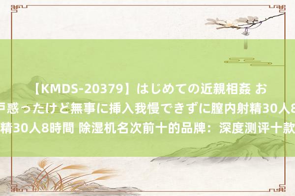 【KMDS-20379】はじめての近親相姦 おばさんの誘いに最初は戸惑ったけど無事に挿入我慢できずに膣内射精30人8時間 除湿机名次前十的品牌：深度测评十款高热度除湿神器