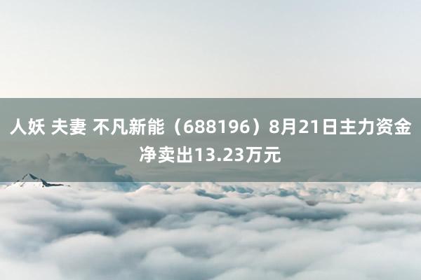 人妖 夫妻 不凡新能（688196）8月21日主力资金净卖出13.23万元