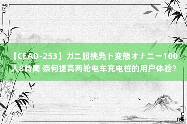 【CEAD-253】ガニ股挑発ド変態オナニー100人8時間 奈何提高两轮电车充电桩的用户体验？