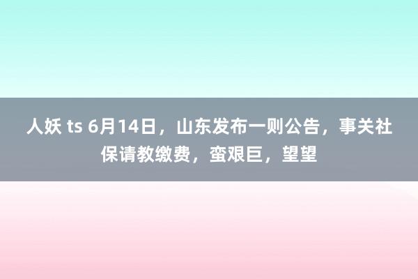 人妖 ts 6月14日，山东发布一则公告，事关社保请教缴费，蛮艰巨，望望