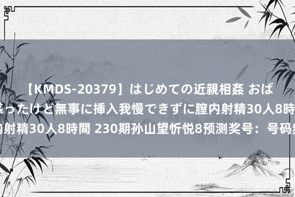 【KMDS-20379】はじめての近親相姦 おばさんの誘いに最初は戸惑ったけど無事に挿入我慢できずに膣内射精30人8時間 230期孙山望忻悦8预测奖号：号码频次统计